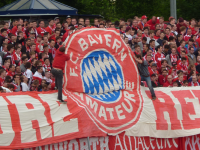 Der FC Bayern gehört zu den umsatzstärksten Vereinen der Welt