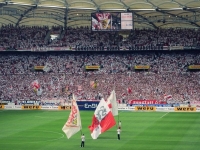 Der VfB Stuttgart gliedert die Profiabteilung aus